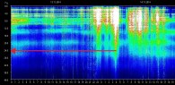 The Schumann Resonance